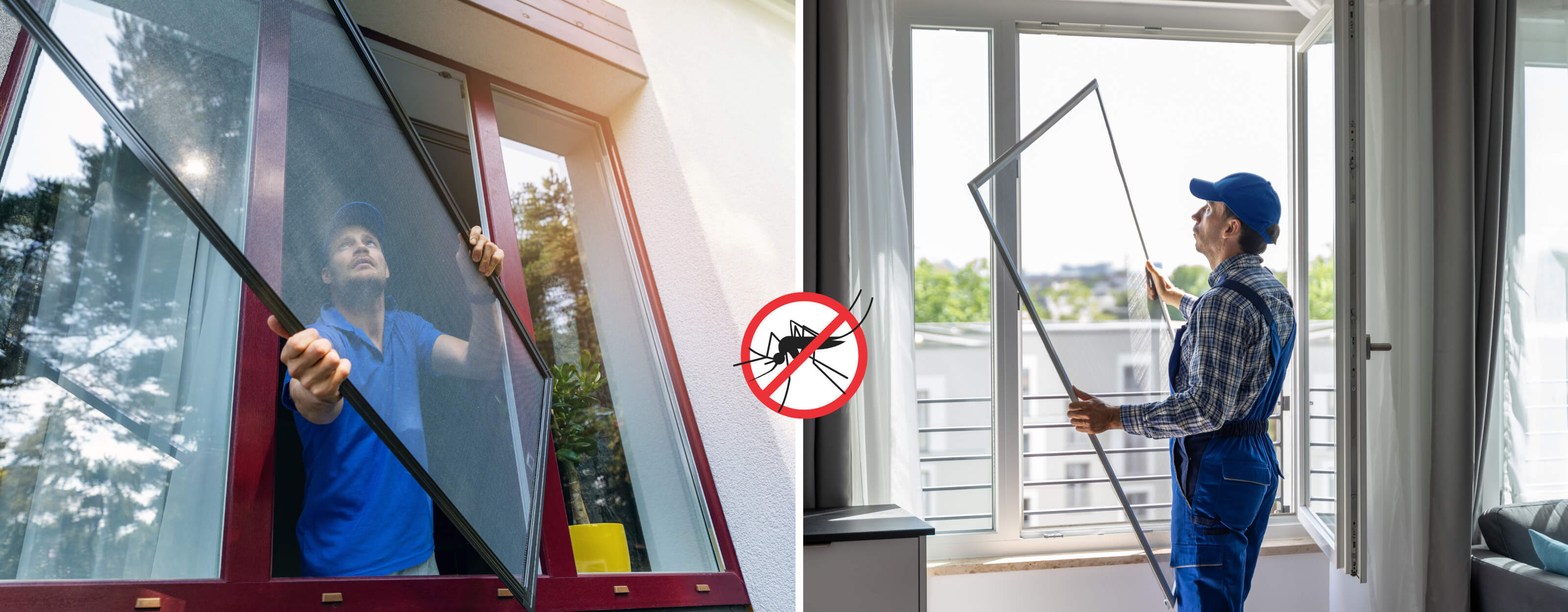 Insect Screen Doors and Windows